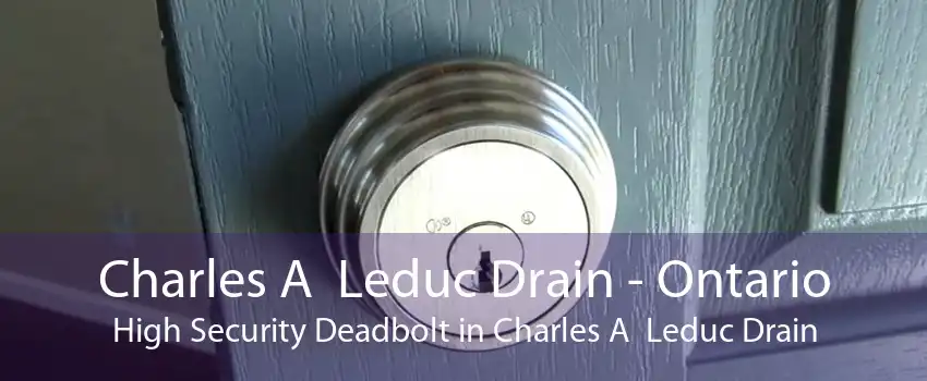 Charles A  Leduc Drain - Ontario High Security Deadbolt in Charles A  Leduc Drain