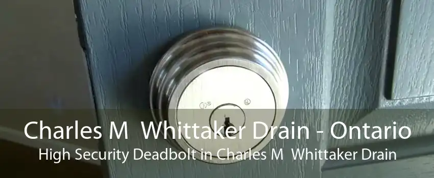 Charles M  Whittaker Drain - Ontario High Security Deadbolt in Charles M  Whittaker Drain