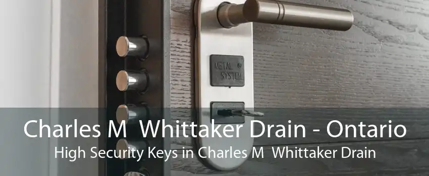 Charles M  Whittaker Drain - Ontario High Security Keys in Charles M  Whittaker Drain