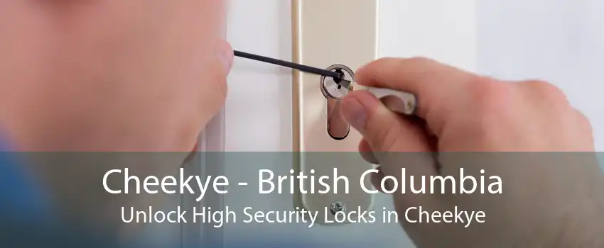 Cheekye - British Columbia Unlock High Security Locks in Cheekye