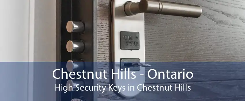 Chestnut Hills - Ontario High Security Keys in Chestnut Hills