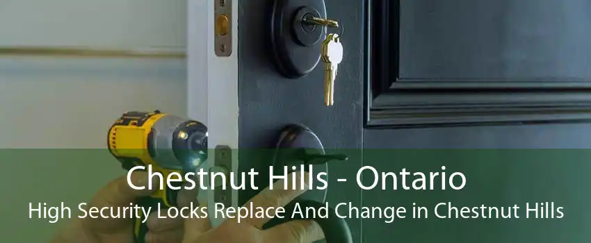 Chestnut Hills - Ontario High Security Locks Replace And Change in Chestnut Hills