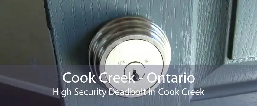 Cook Creek - Ontario High Security Deadbolt in Cook Creek