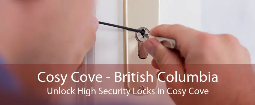 Cosy Cove - British Columbia Unlock High Security Locks in Cosy Cove