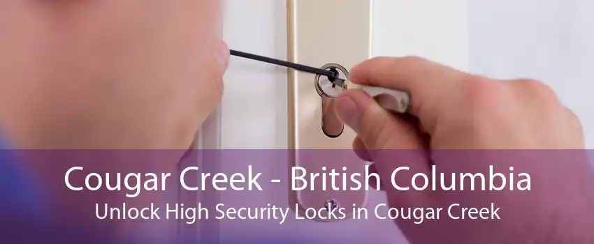 Cougar Creek - British Columbia Unlock High Security Locks in Cougar Creek