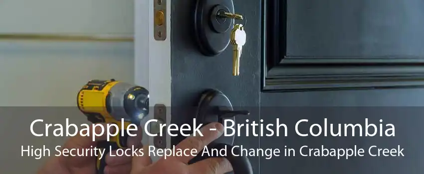 Crabapple Creek - British Columbia High Security Locks Replace And Change in Crabapple Creek