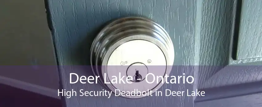 Deer Lake - Ontario High Security Deadbolt in Deer Lake
