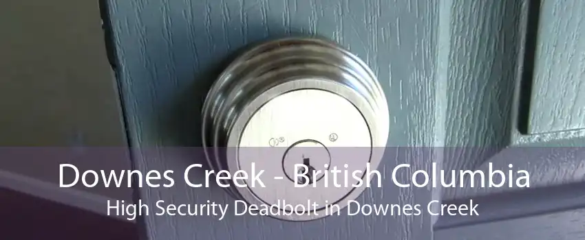 Downes Creek - British Columbia High Security Deadbolt in Downes Creek