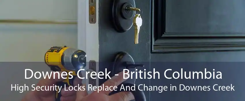 Downes Creek - British Columbia High Security Locks Replace And Change in Downes Creek