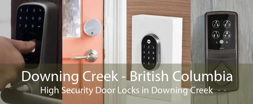Downing Creek - British Columbia High Security Door Locks in Downing Creek