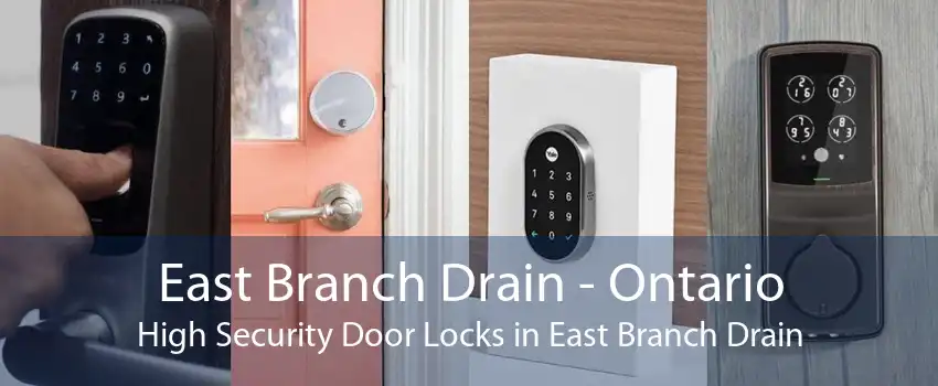 East Branch Drain - Ontario High Security Door Locks in East Branch Drain