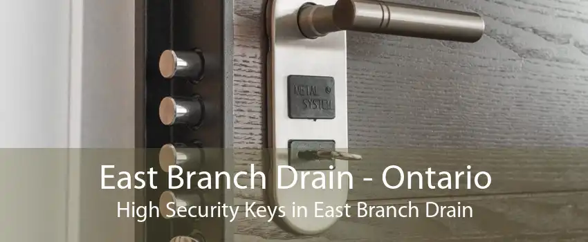 East Branch Drain - Ontario High Security Keys in East Branch Drain