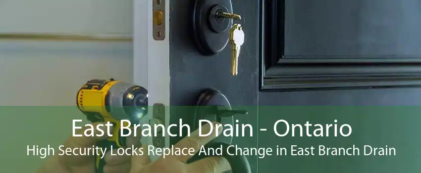 East Branch Drain - Ontario High Security Locks Replace And Change in East Branch Drain