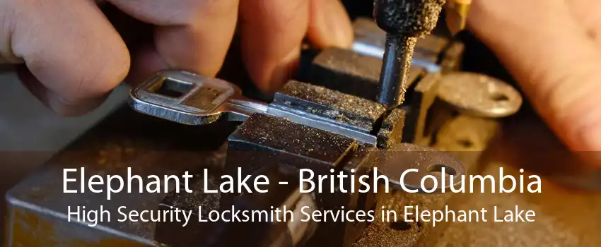 Elephant Lake - British Columbia High Security Locksmith Services in Elephant Lake