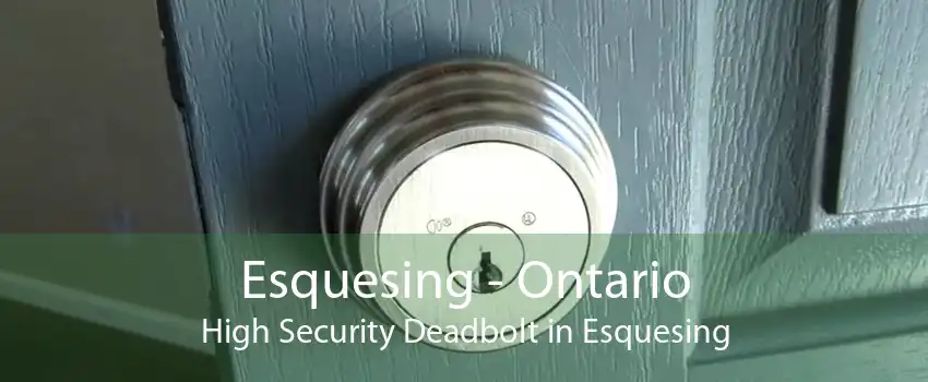 Esquesing - Ontario High Security Deadbolt in Esquesing