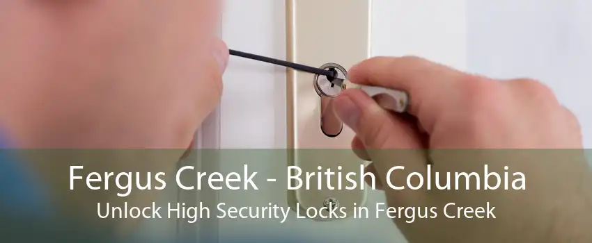 Fergus Creek - British Columbia Unlock High Security Locks in Fergus Creek