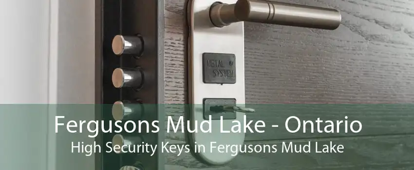 Fergusons Mud Lake - Ontario High Security Keys in Fergusons Mud Lake