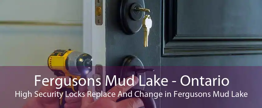 Fergusons Mud Lake - Ontario High Security Locks Replace And Change in Fergusons Mud Lake