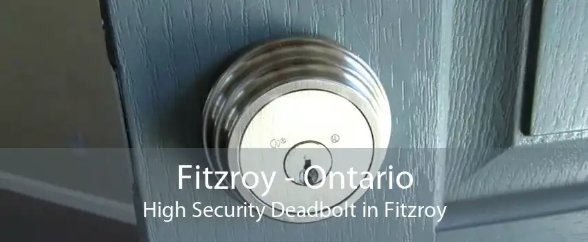 Fitzroy - Ontario High Security Deadbolt in Fitzroy