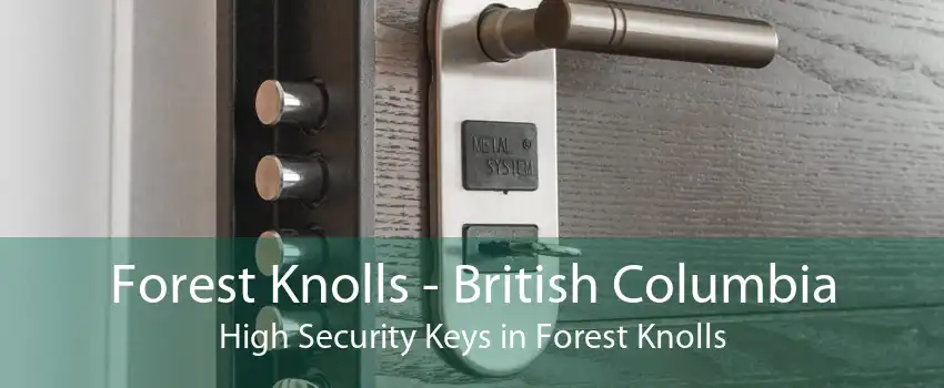 Forest Knolls - British Columbia High Security Keys in Forest Knolls