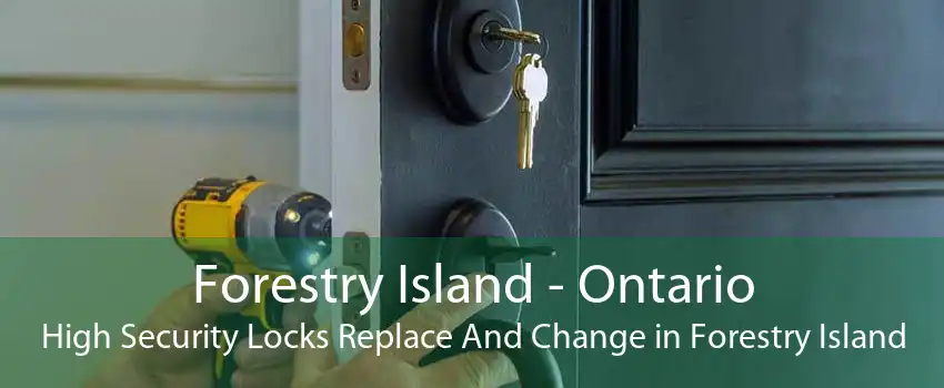 Forestry Island - Ontario High Security Locks Replace And Change in Forestry Island