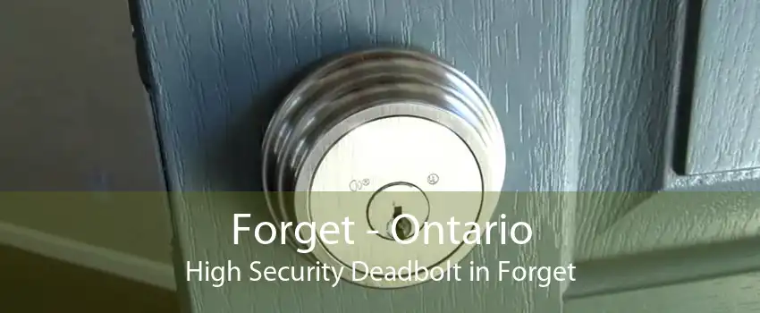 Forget - Ontario High Security Deadbolt in Forget
