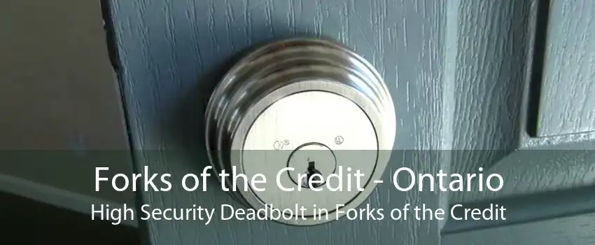 Forks of the Credit - Ontario High Security Deadbolt in Forks of the Credit