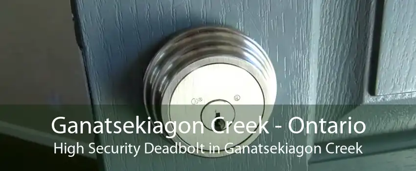 Ganatsekiagon Creek - Ontario High Security Deadbolt in Ganatsekiagon Creek