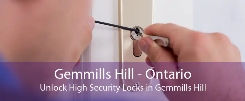 Gemmills Hill - Ontario Unlock High Security Locks in Gemmills Hill