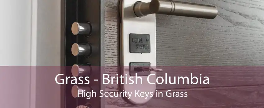 Grass - British Columbia High Security Keys in Grass