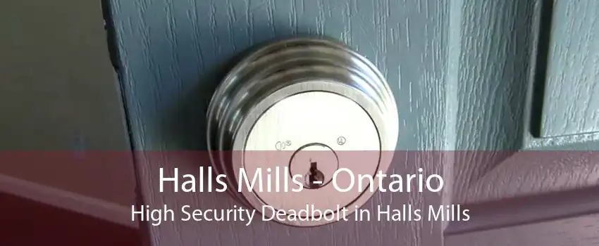 Halls Mills - Ontario High Security Deadbolt in Halls Mills