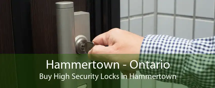 Hammertown - Ontario Buy High Security Locks in Hammertown