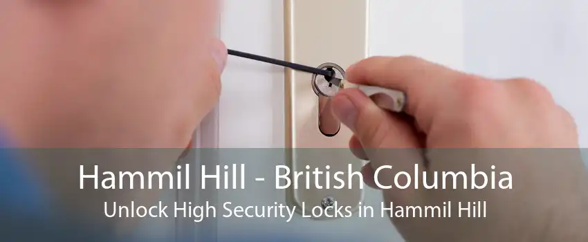 Hammil Hill - British Columbia Unlock High Security Locks in Hammil Hill
