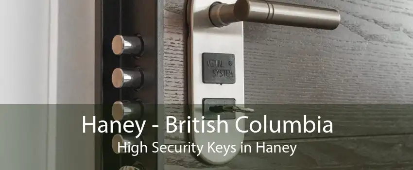 Haney - British Columbia High Security Keys in Haney