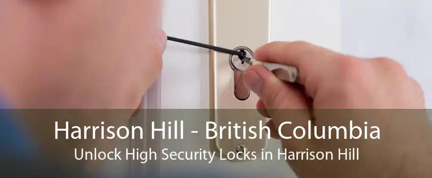 Harrison Hill - British Columbia Unlock High Security Locks in Harrison Hill