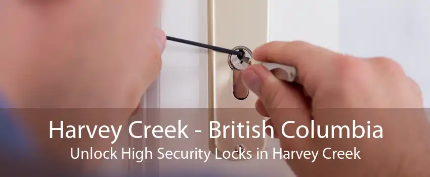 Harvey Creek - British Columbia Unlock High Security Locks in Harvey Creek