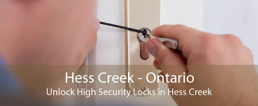 Hess Creek - Ontario Unlock High Security Locks in Hess Creek