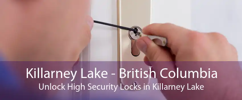 Killarney Lake - British Columbia Unlock High Security Locks in Killarney Lake