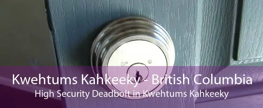 Kwehtums Kahkeeky - British Columbia High Security Deadbolt in Kwehtums Kahkeeky