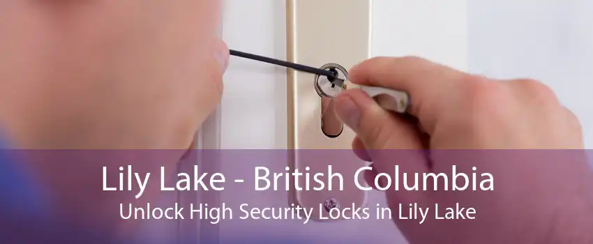 Lily Lake - British Columbia Unlock High Security Locks in Lily Lake