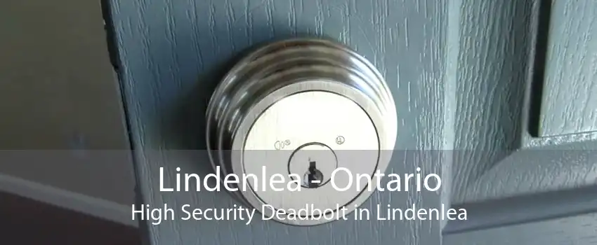 Lindenlea - Ontario High Security Deadbolt in Lindenlea