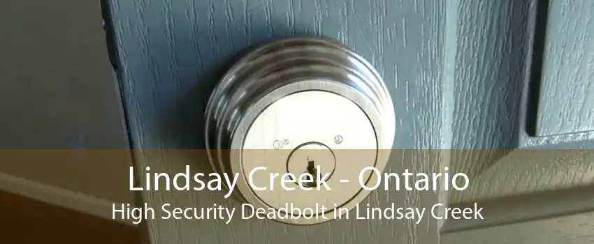 Lindsay Creek - Ontario High Security Deadbolt in Lindsay Creek