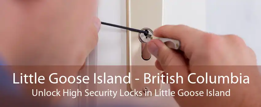 Little Goose Island - British Columbia Unlock High Security Locks in Little Goose Island