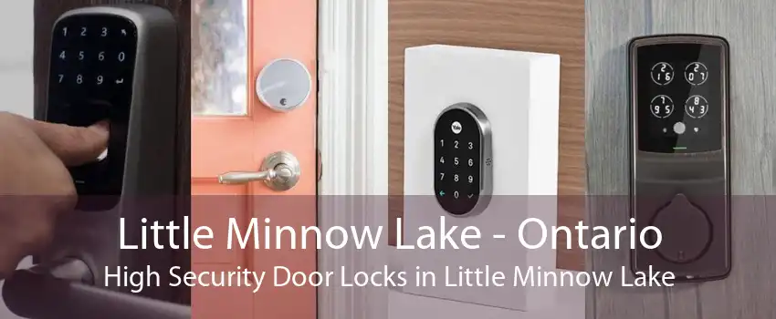 Little Minnow Lake - Ontario High Security Door Locks in Little Minnow Lake