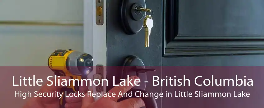 Little Sliammon Lake - British Columbia High Security Locks Replace And Change in Little Sliammon Lake