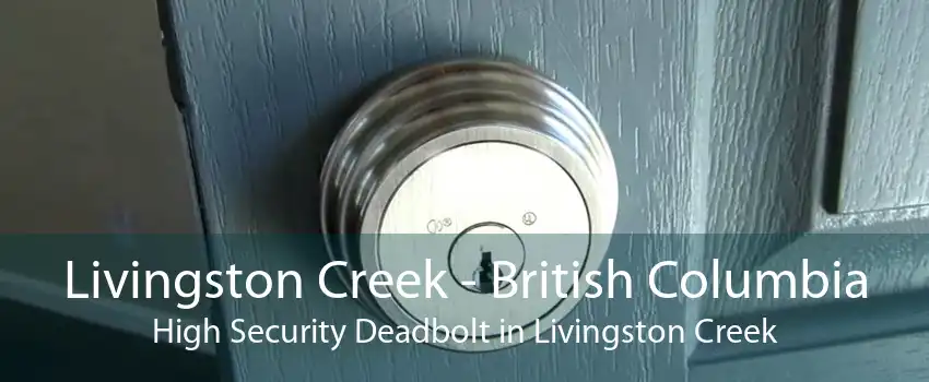 Livingston Creek - British Columbia High Security Deadbolt in Livingston Creek