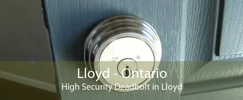 Lloyd - Ontario High Security Deadbolt in Lloyd
