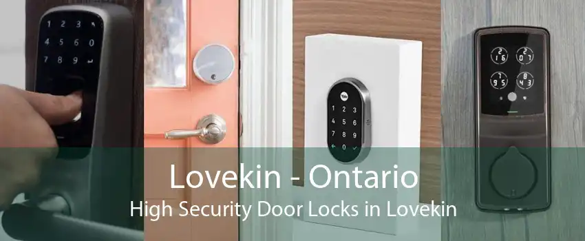Lovekin - Ontario High Security Door Locks in Lovekin