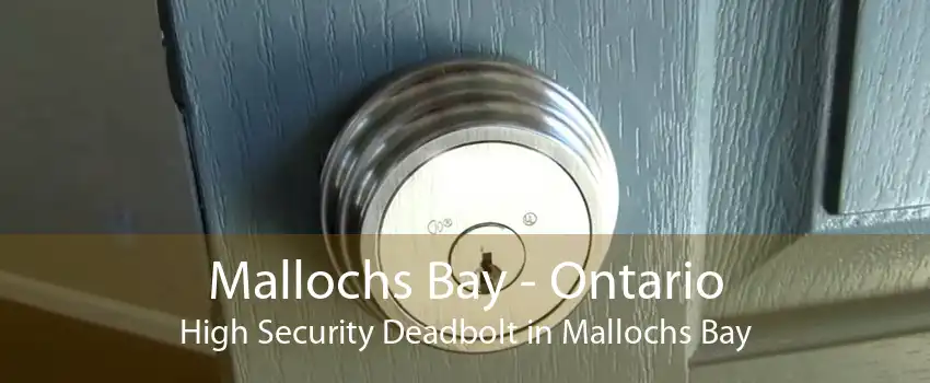 Mallochs Bay - Ontario High Security Deadbolt in Mallochs Bay