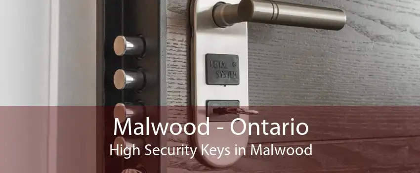 Malwood - Ontario High Security Keys in Malwood